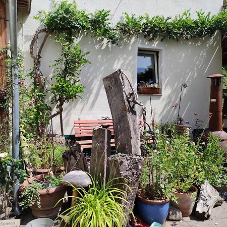 Gartenzimmer Mit Strassenbahn Zu Dom Und Messe Colónia Exterior foto